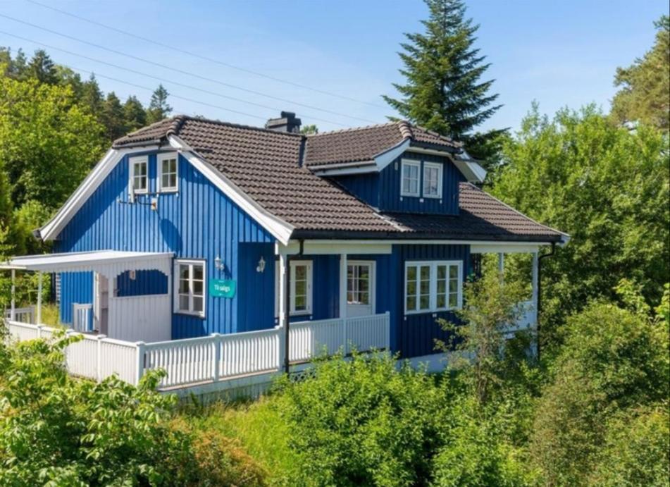 فندق Blue House Brevik بورشغرون المظهر الخارجي الصورة